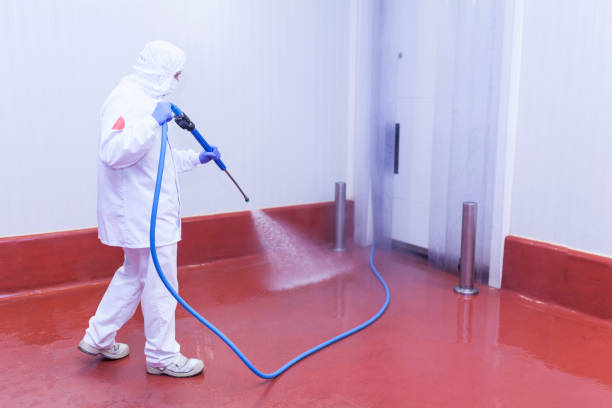 Best Paint Preparation  in Milliken, CO